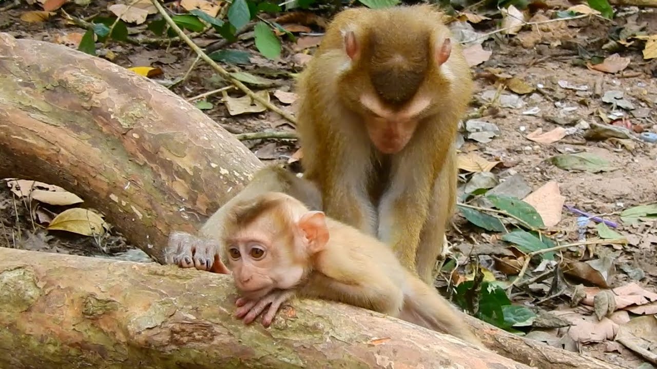 How stress Angela and Katrina staying? Both Looked Very Quiet and Hungry.