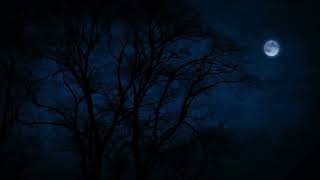 Tree Tops Blowing on a Windy Night Under The Moonlight for Sleep,  Insomnia, Tinnitus screenshot 2