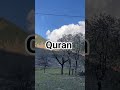 Quran Urdu translation 🌿......#shorts #shortvideo #view