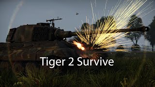 Tiger 2 Survive / Shortfilm / Things We Lost In The Fire  (Bastille)