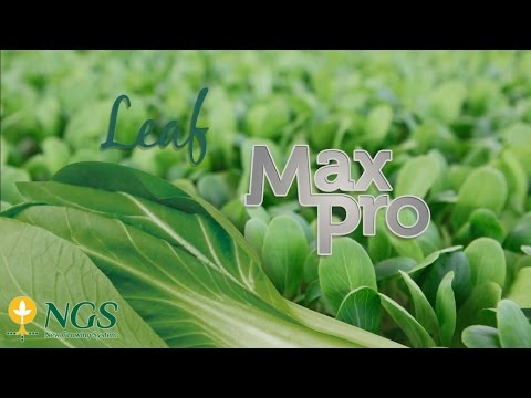 Vídeo: Els Bunnings garanteixen les seves plantes?