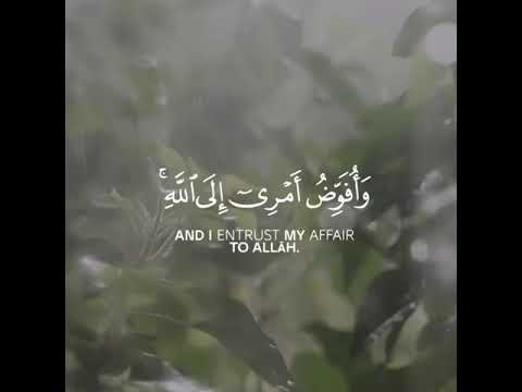 أفوض أمري إلى الله حالات واتس من القرآن الكريم 