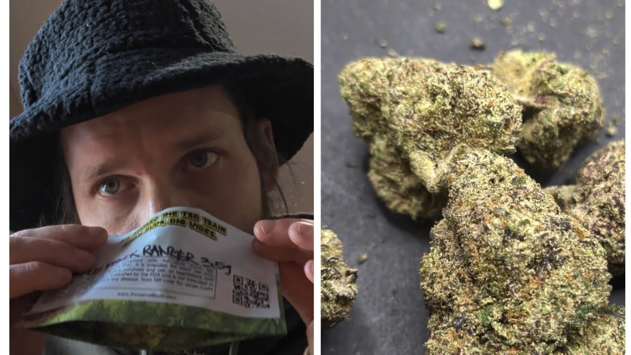 "purple power ranger" thca small buds - platform purple hemp flower review Hits hard