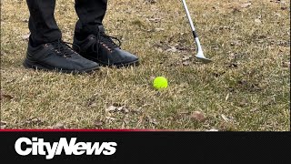 City-run golf courses in Winnipeg open for the season