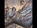 ✝️IT'S EASY TO MISS CHERRYPICKERS' PENNY ERRORS #2 🕵️♂️ 858 #penny #cent #christ #jesuslovesus