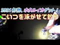 ホタルイカシーズン2021到来！釣りと掬いで探りを入れた結果は...