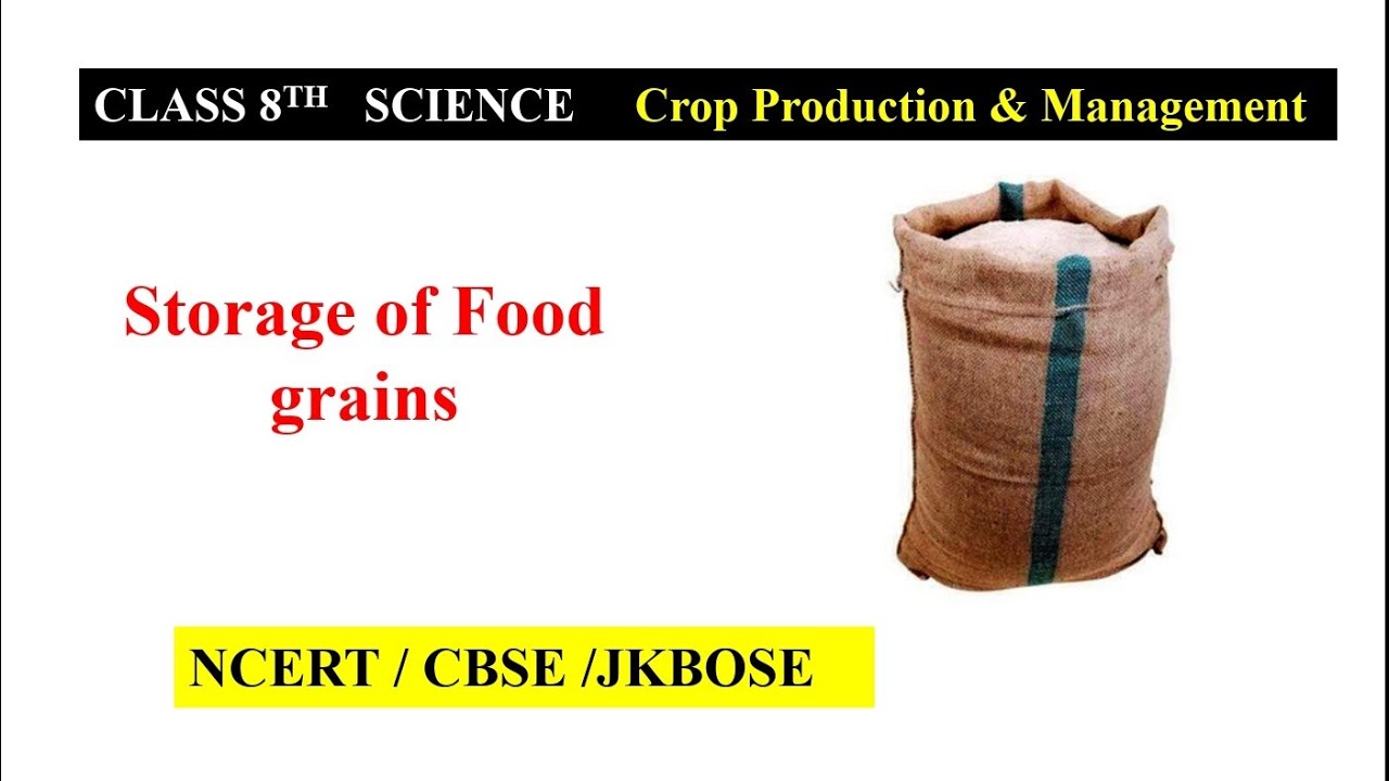 Storage of food grains । Crop production and management । class 8th