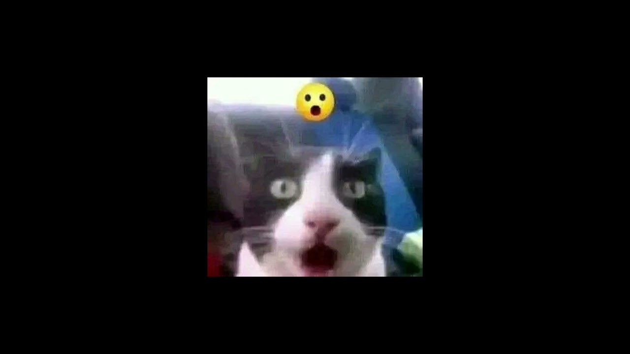 TICTAC - CAPSULE (sped up)