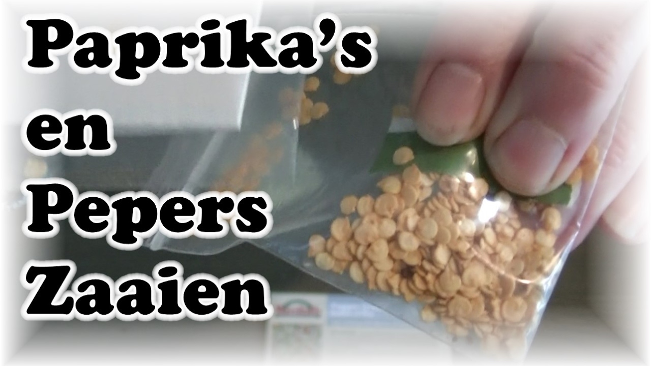 De Moestuin 50 Paprika's en Pepers Zaaien YouTube