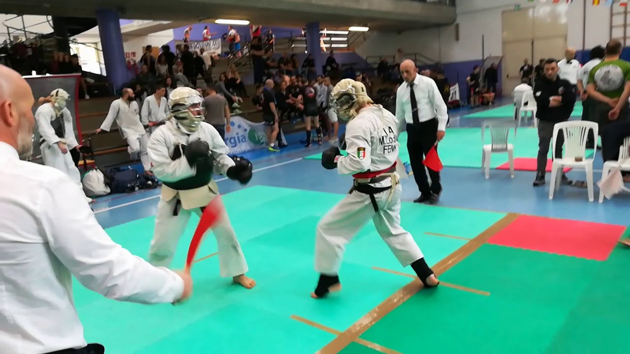 Wfc nippon kempo 2017 finale lovallo Vs bilo