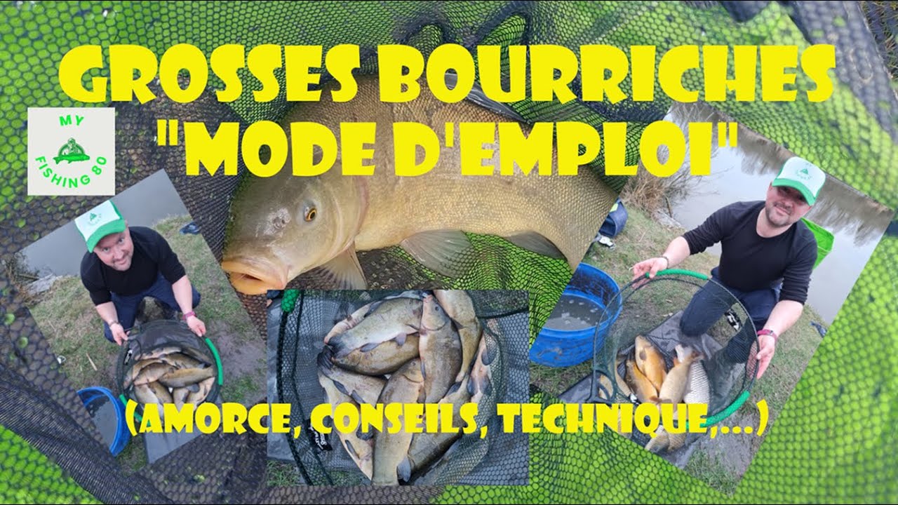 "GROSSE BOURRICHE", en étang "SAUVAGE": Amorce, Conseils, Technique,...