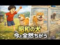 昭和の犬、拾って、外で飼って、番犬だったあの頃