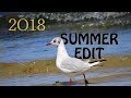 Summer edit 2018