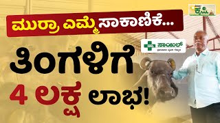 ಮುರ್ರಾ ಎಮ್ಮೆ ಸಾಕಾಣಿಕೆಯಿಂದ ತಿಂಗಳಿಗೆ 4 ಲಕ್ಷ ಲಾಭ | Vistara Krishi | Murrah Buffalo Farming In Kannada