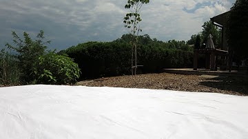 2017 Eclipse - Shadow Bands