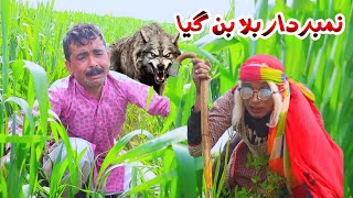 NumberDaar Bala Ban Gya|Funny Video 2024|Dadi420|Helmet|Rockit|Saraiki Comedy Darama|Punjabi