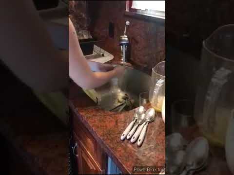 Using the Dishwasher Task Analysis