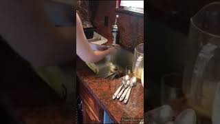 Using the Dishwasher Task Analysis