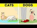 CATS VS DOGS: WHO ARE BETTER?