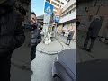 Protecția porumbeilor