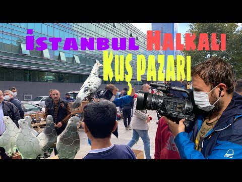 kus pazari bomba piyasa hareketli istanbul edirne kapi guvercin pazari istanbul kus pazari youtube