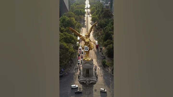 “First American Bishop Appointed by Pope Leo XIV – A New Voice for the Catholic Church?”