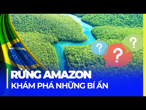 Video: Các khu vực sẵn có của Amazon là gì?