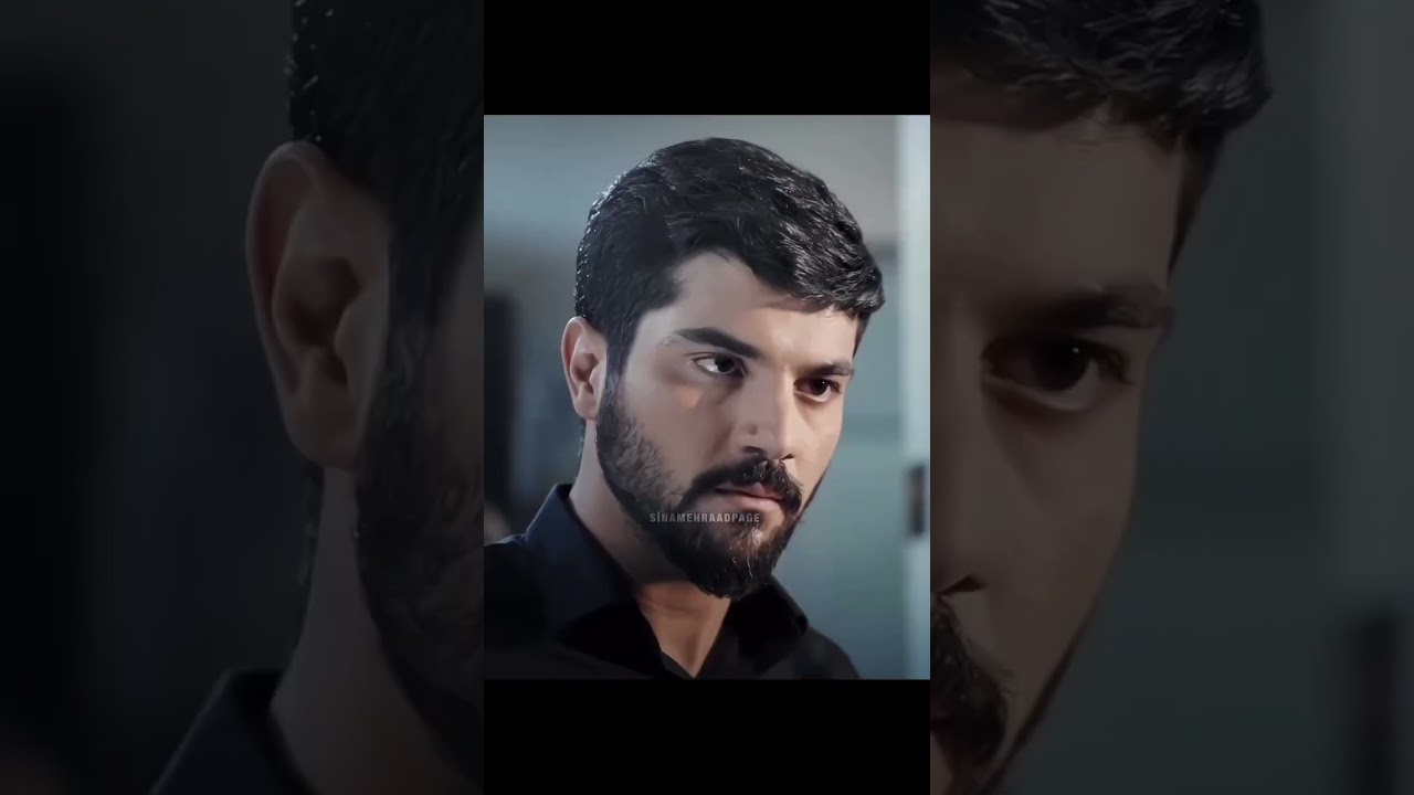 Sina Mehrad Iranian Actor