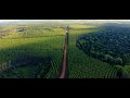 Impressions of the plantations for high quality timber production managed by unique in paraguay