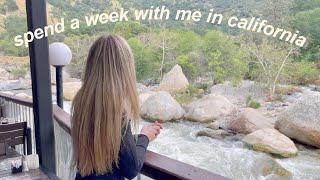 spend a fun week in california with me | disney land, erewhon, sequoia national park