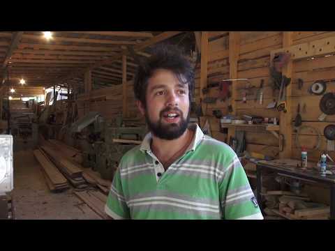 აბასთუმნელების თვალით დანახული ტურისტული სეზონი