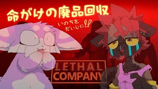 【LETHAL COMPANY】赤のピクと紫のミンです！！しゅい視点【リーサルカンパニー】