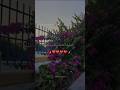 عرفت الحب بيك ومعاك تصميمي  حالات واتس بتاع
