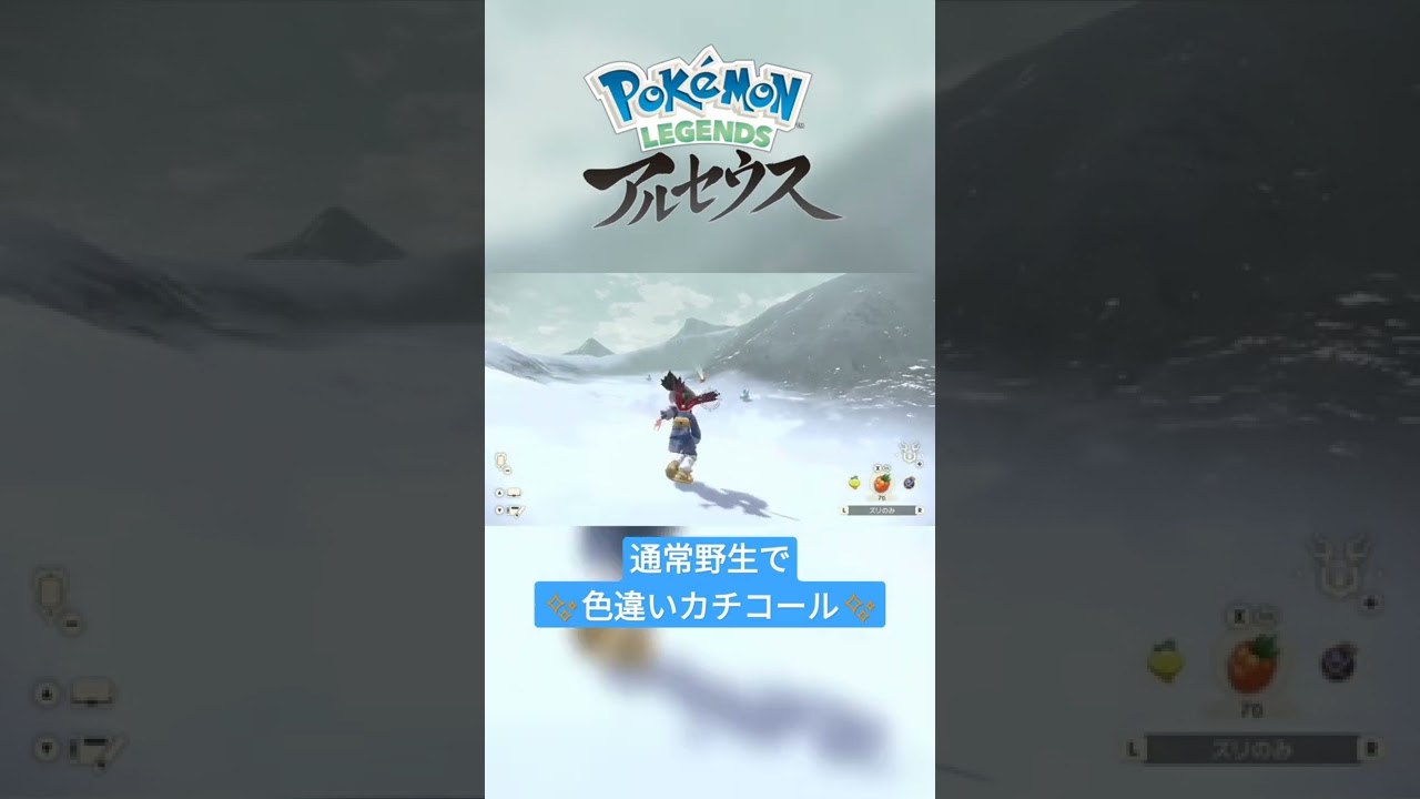 色違い Pokemon Legends アルセウス カチコール 通常野生にて色違い Shorts Youtube