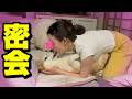 柴犬と娘の真夜中の密会を目撃した結果…面白すぎたwww