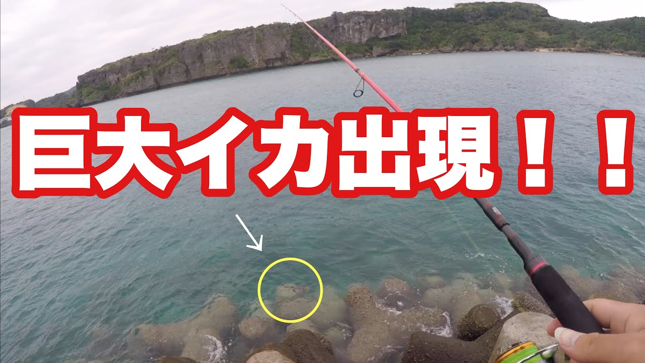 沖縄エギング 目の前に見えてる2kgイカをサイトフィッシングで狙う Youtube 沖縄エギング 目の前に見えてる2kgイカをサイトフィッシングで狙う Youtube