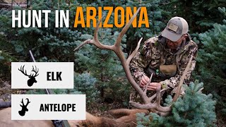 Arizona Elk & Pronghorn Application Strategy Profile