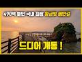 26년 6월 26일 개통! 490억 들인 국내 최장 17km 바다 위 산책로, 서울 근교에 역대급 황금해안길이 열렸습니다~