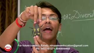Download lagu Class 9 Biology Diversity in Living Organisms A Why classification Class 9 Biology Diversity in Living Organisms A Why classification