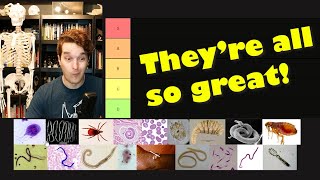 Ranking my Favorite Parasites | Tier List