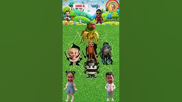 Elif Sinem TV Yerleştirmeyi Doğru Yapabilecek mi ? 😳🤔 #shorts