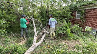 Download Lagu She Was Diagnosed with Cancer and the Yard was Left Behind MP3 Download Lagu She Was Diagnosed with Cancer and the Yard was Left Behind MP3