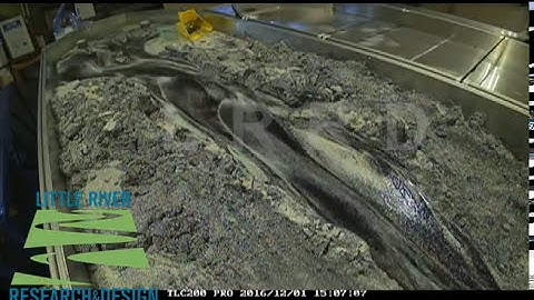 Sediment Waves and Slugs - River Model Demonstration
