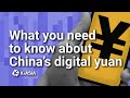 Five things you need to know about China's digital yuan