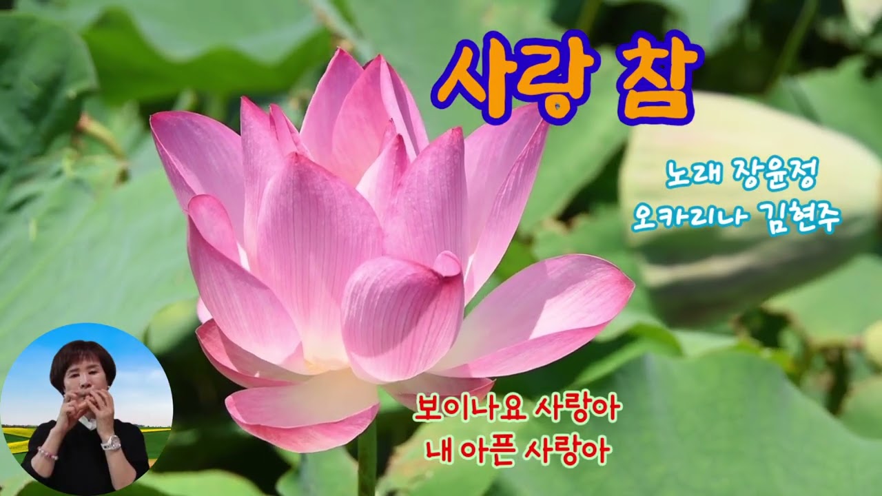 사랑 참 /장윤정/오카리나 연주/김현주