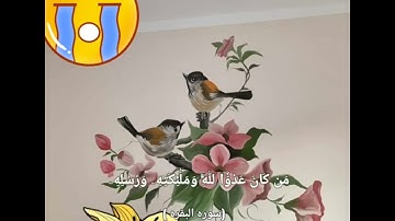 تلاوه أبو حفص
