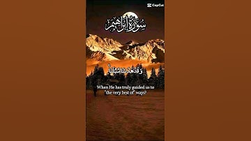 سورة إبراهيم القرآن الکریم #duet #تيك_توك #اكسبلور