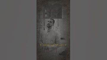 تلاوة من سورة القصص للقارئ عبد الله سعيد