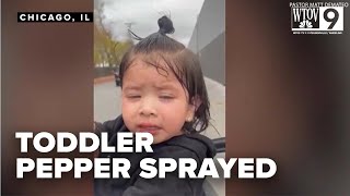 Federal agents pepper spray 1 year old girl