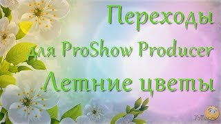 Переходы Для Proshow Producer - Летние Цветы